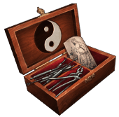 Acupuncture Kit