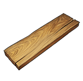 Plank (100k)