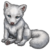 Polar fox